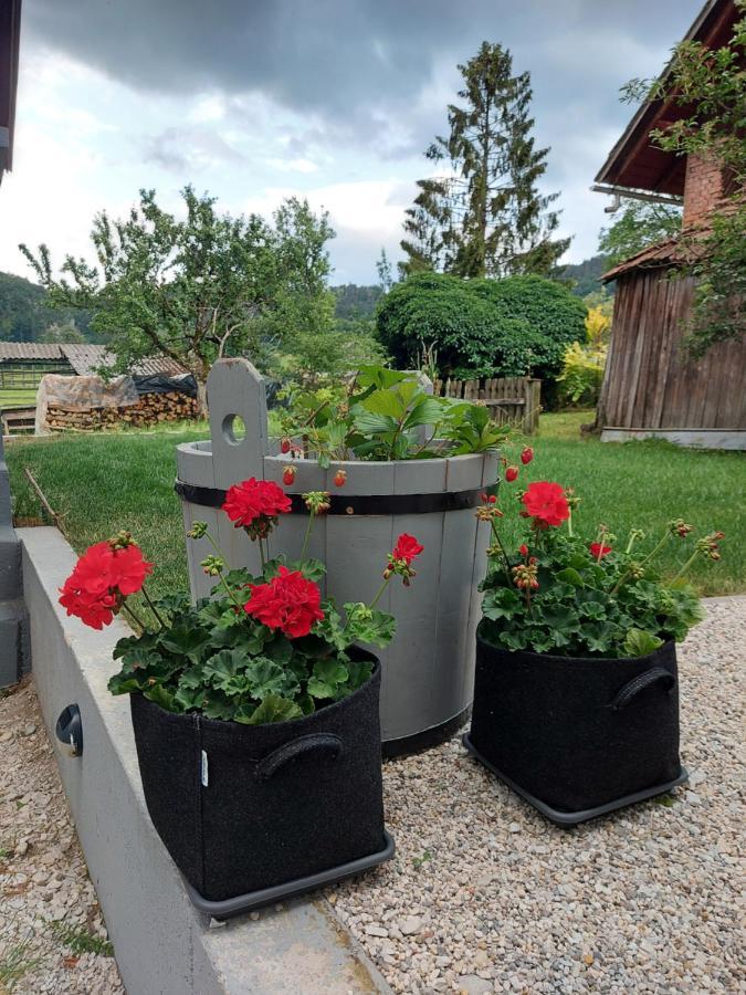 Pr' Sovarjo Zgornje Gorje Екстериор снимка